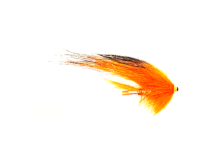 Orange Black Tip