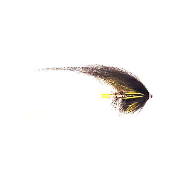 Black & Yellow